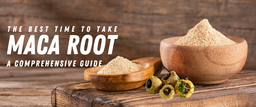 best time to take maca root