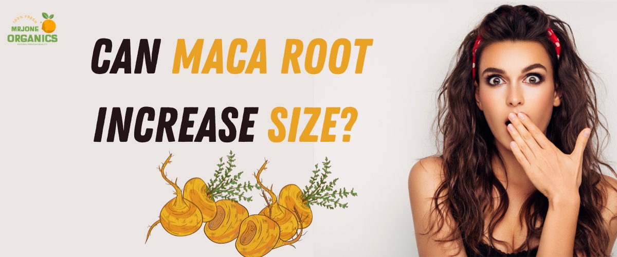 Does Maca Root Increase Size